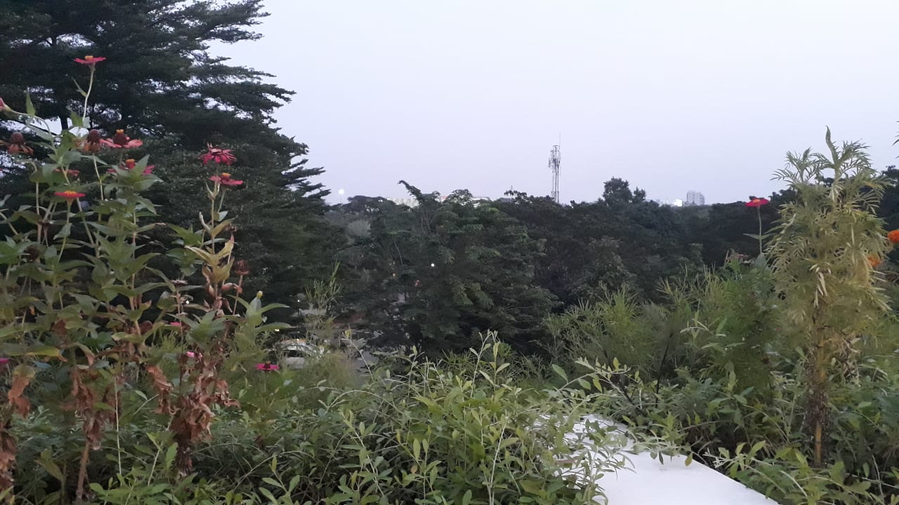 Ausblick Hotel Resort FM7