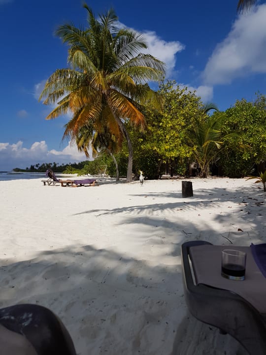 Strand Kuredu Island Resort & Spa