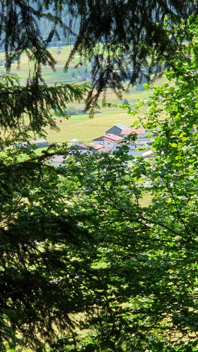Gartenanlage Gästehaus Panorama
