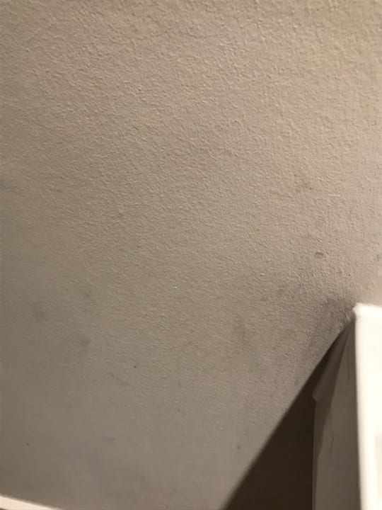 Außenansicht The Cozy Hotel Timmendorfer Strand