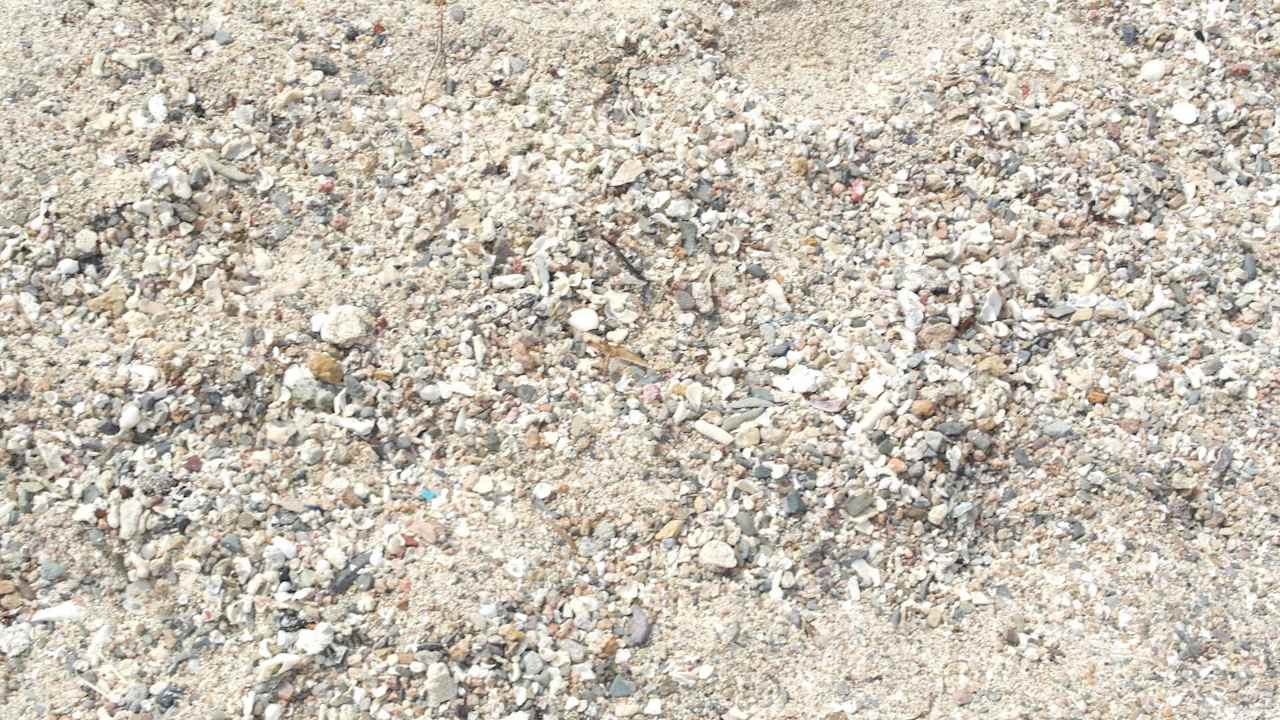 Nicht aandig sonder steinig, Schuhe empfehlenswert Pensée Royal Garden Beach Resort