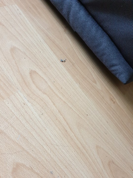 Zimmer Ferienpark Domaine Long Pré