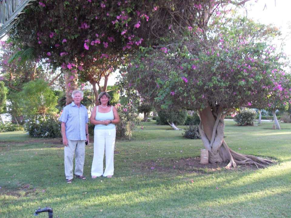 Hotelgarten The Grand Hotel Hurghada