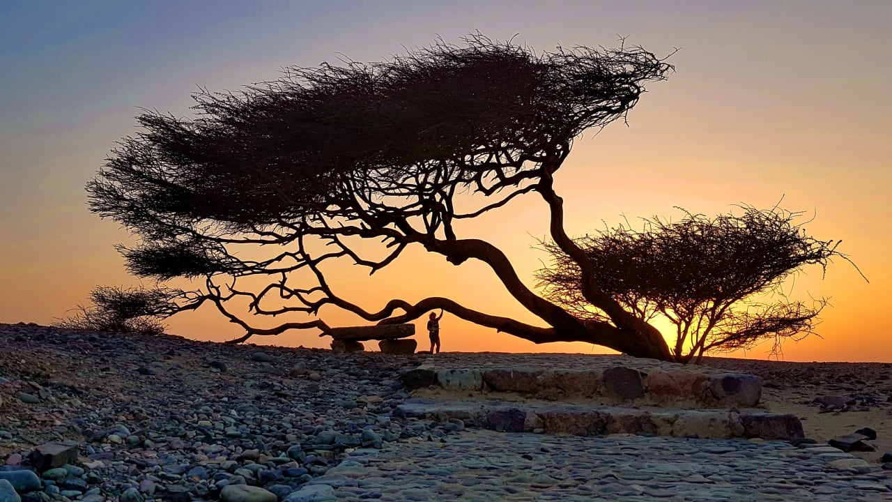 Ausblick Shams Alam Beach Resort