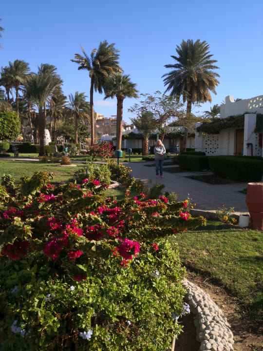 Gartenanlage Shams Safaga Resort