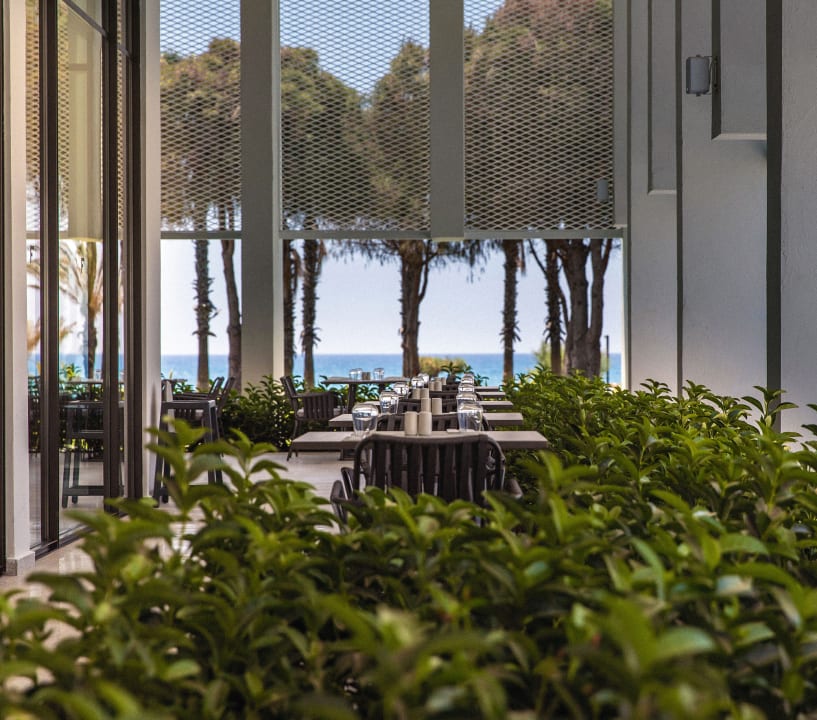 Gastro Paloma Finesse