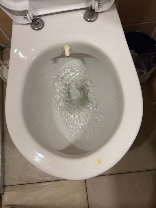 Zimmer Dg Hotels Rose Resort