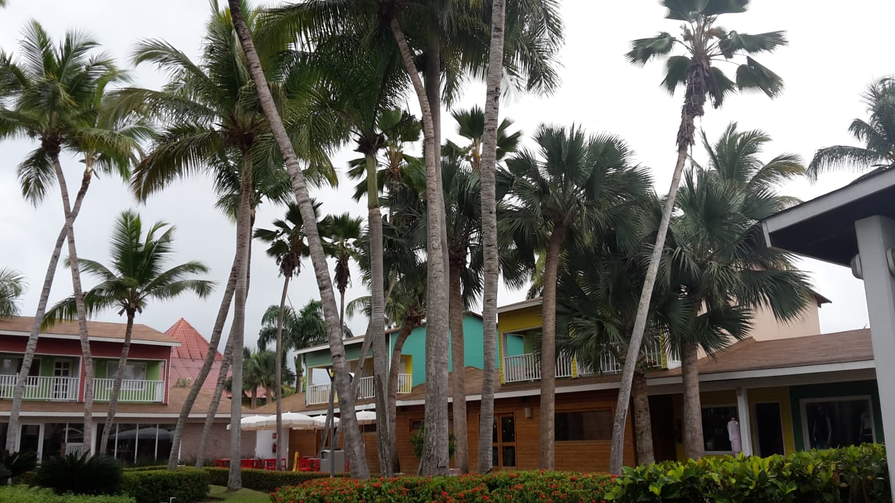 Gartenanlage Hotel Grand Palladium Palace Resort, Spa & Casino