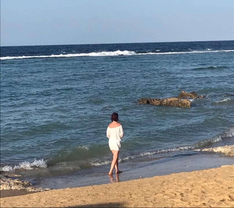 Strand Pickalbatros Sea World Resort - Marsa Alam