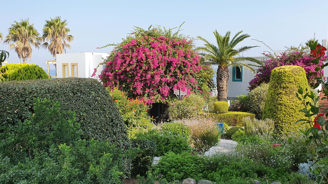 Garten Mastichari Bay Hotel