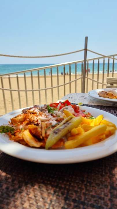 Gastro Seashell Vega