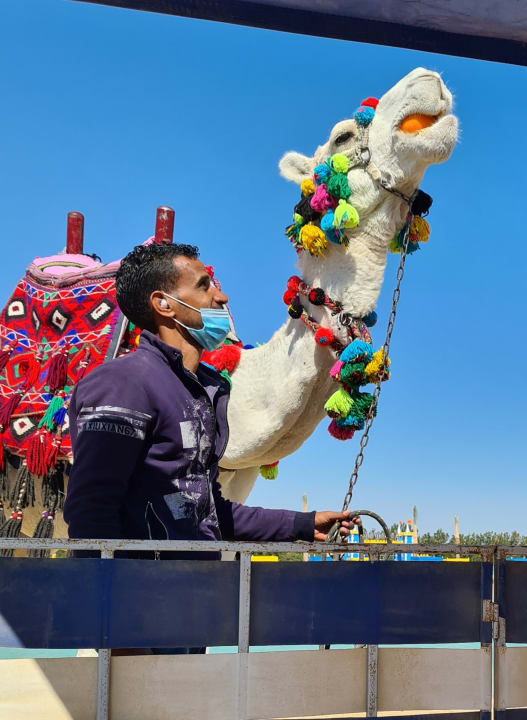 Strand Gravity Hotel & Aqua Park Hurghada
