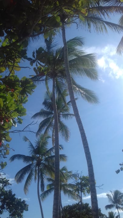 Strand Grand Paradise Playa Dorada