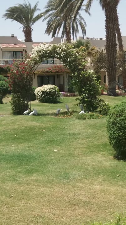 Gartenanlage Lotus Bay Beach Resort