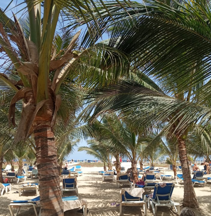 Strand Hotel Riu Cabo Verde