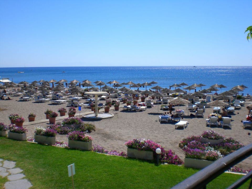 Super Strand Hotel Calypso Beach