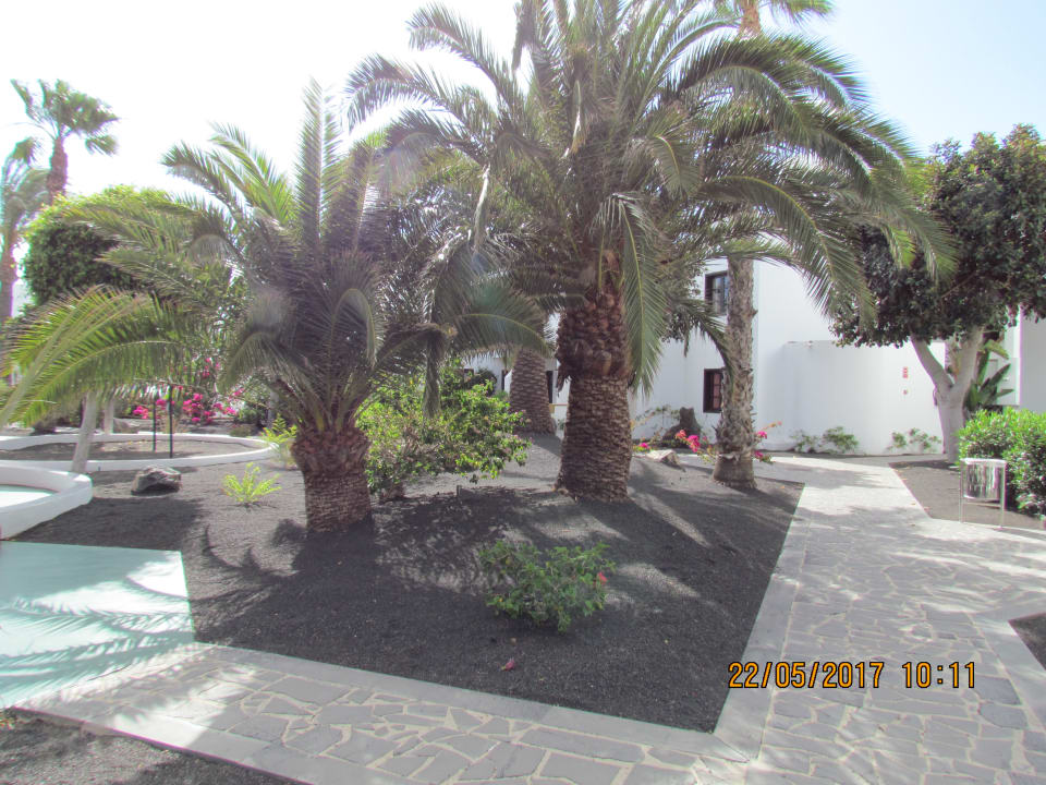 Gartenanlage allsun App.-Hotel Albatros