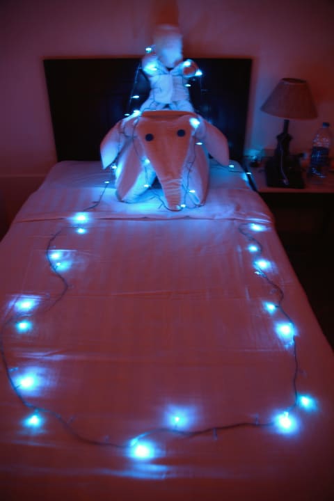 Zimmer Three Corners Sea Beach Resort