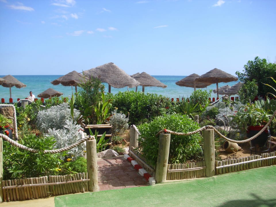 Blick von der Strandbar TUI MAGIC LIFE Africana
