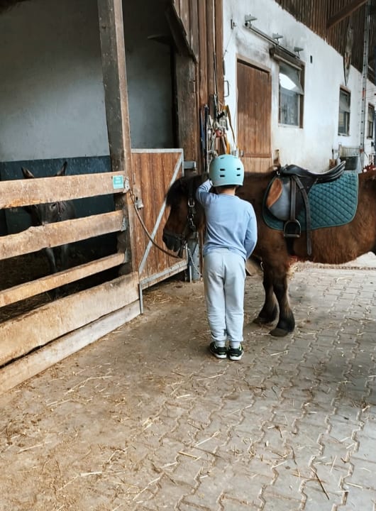 Sport & Freizeit Urlaub am Regen - Ferienhof Dirnberger