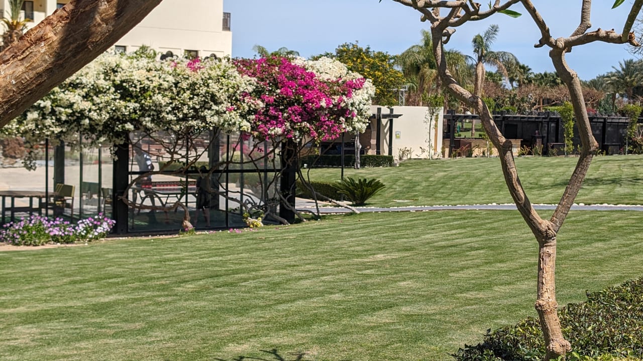 Gartenanlage Steigenberger Aqua Magic