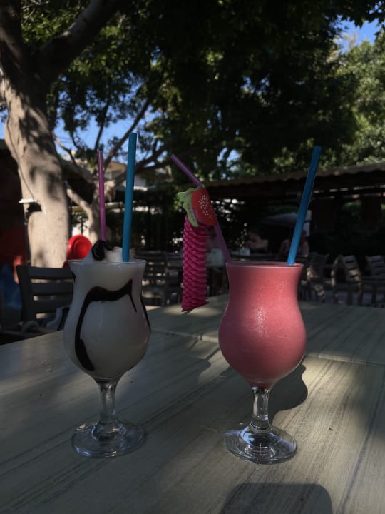 Gastro Hotel Gardenia Beach