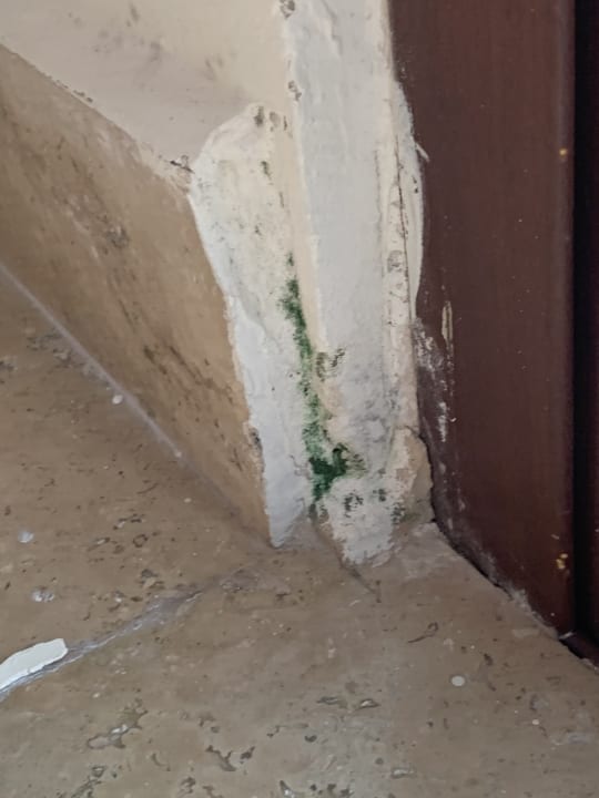 Zimmer Akumal Bay Beach & Wellness Resort