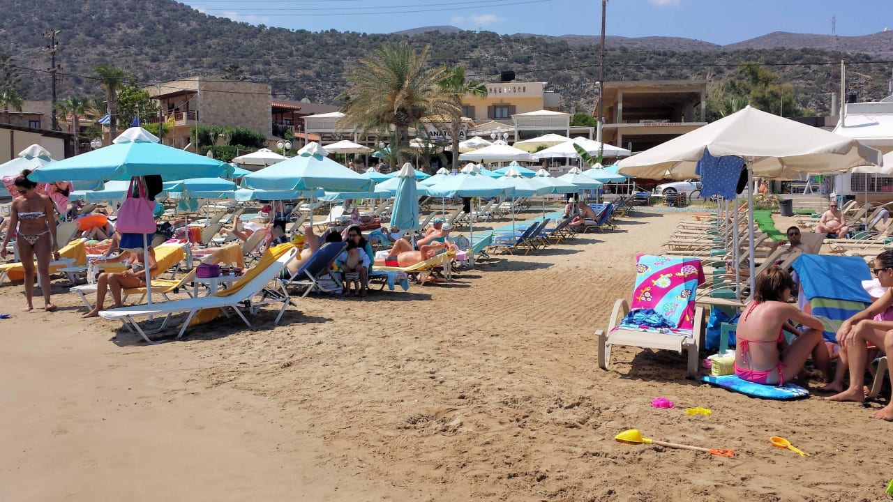 Strand ein Stück nach links Cactus Royal