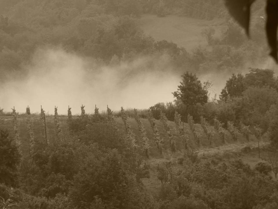 Außenansicht Agriturismo Bevione Davide