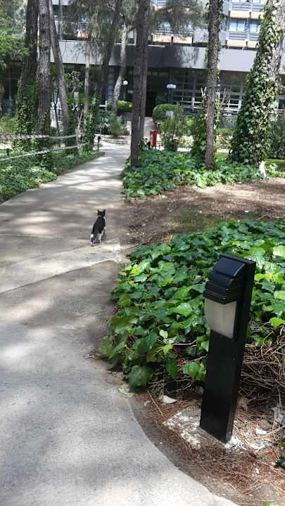 Garten Balmy Foresta