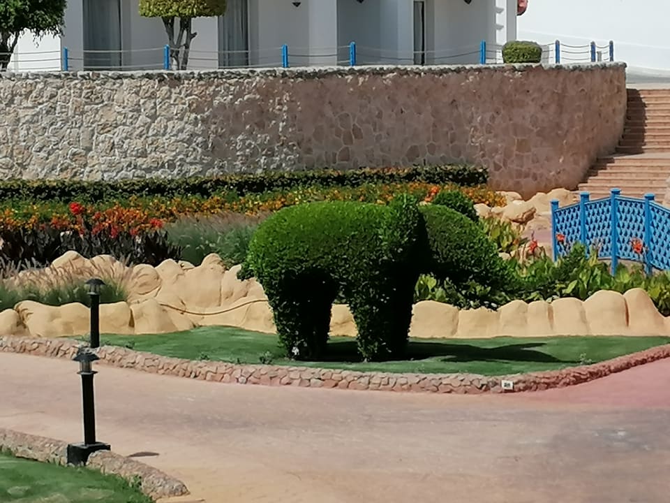 Gartenanlage Renaissance Sharm El Sheikh Golden View Beach Resort