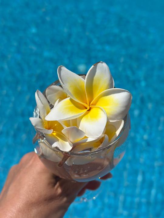 Gartenanlage SUNRISE Anjum Resort