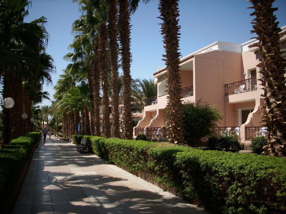 Bungalows Beach Albatros Resort