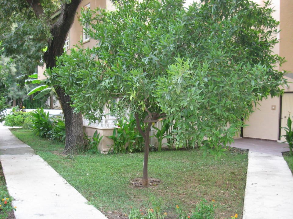 Eingang zum Zimmer Club Sidelya Hotel