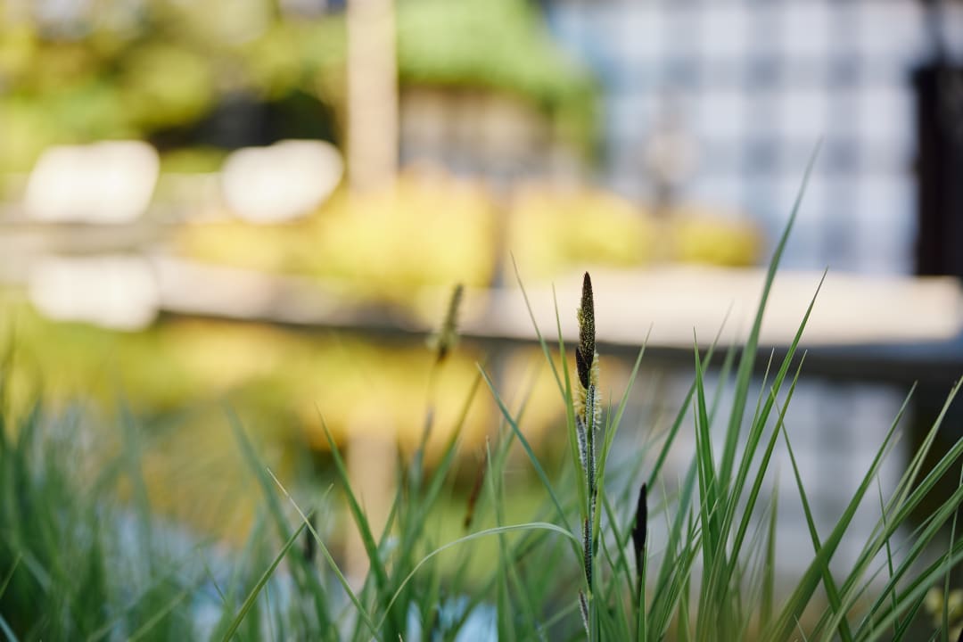 Gartenanlage Van der Valk Resort Linstow