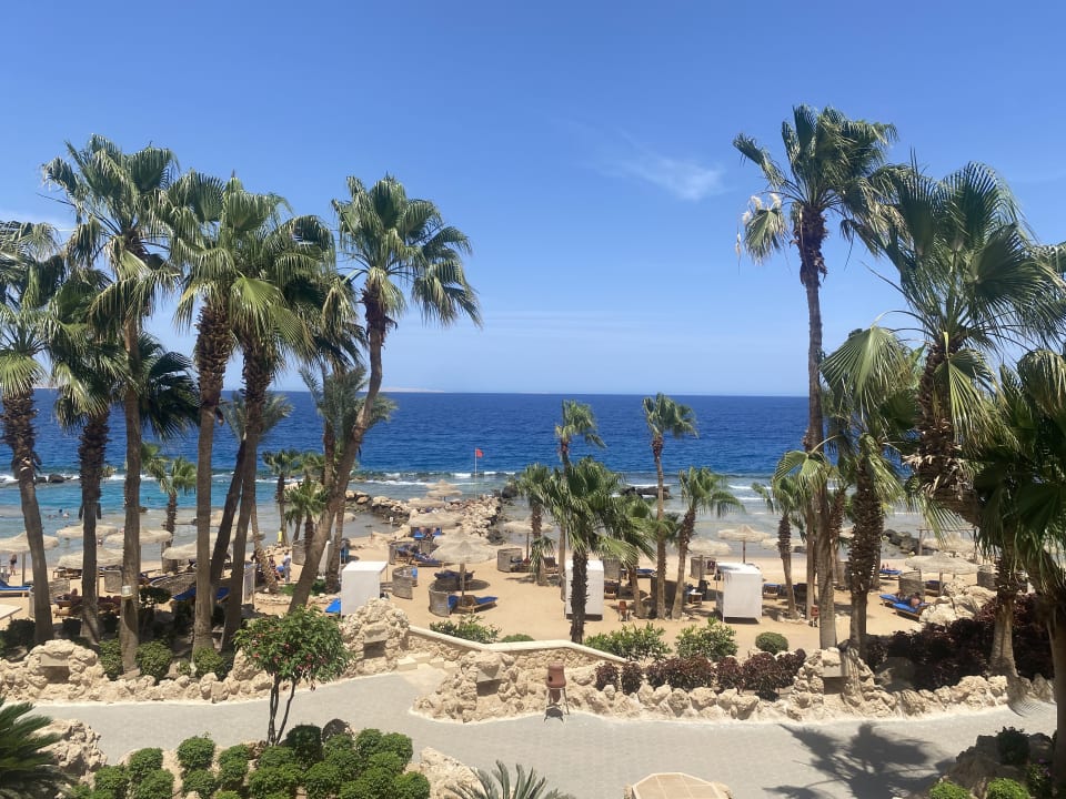 Strand Pickalbatros Citadel Resort