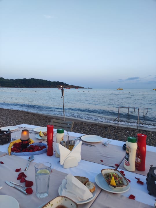 Strand Hotel Gardenia Beach