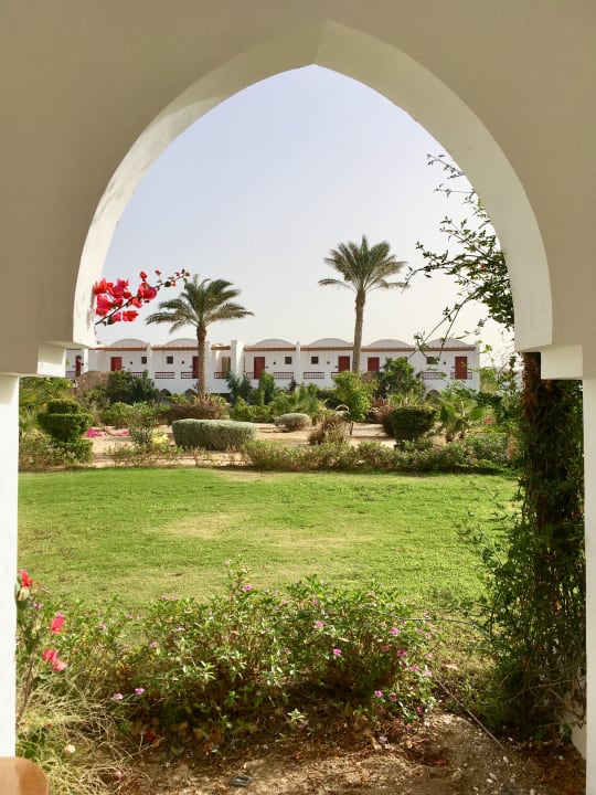 Zimmer Hotel Gorgonia Beach Resort