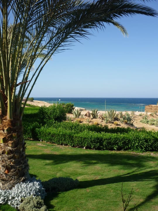 Garten Fantazia Resort Marsa Alam