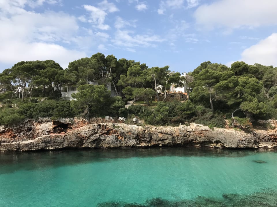 Ausblick AluaSoul Mallorca Resort