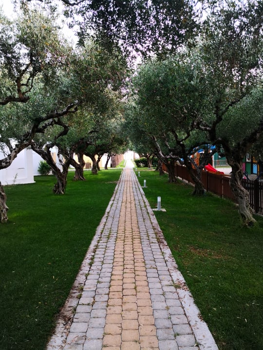 Garten TUI KIDS CLUB Alex Beach