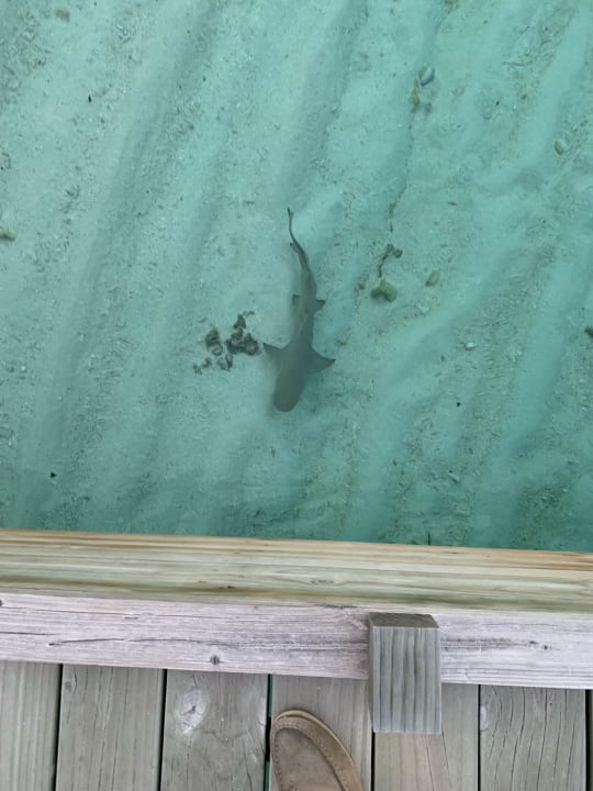 Strand Dhigali Maldives