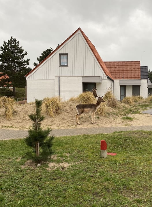 Außenansicht Center Parcs Park Zandvoort