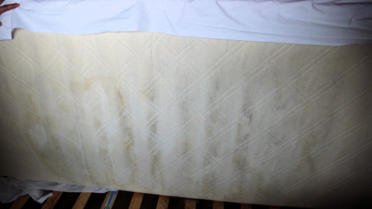 Sieht so eine saubere Matratze aus? Sonnenwald Hotel