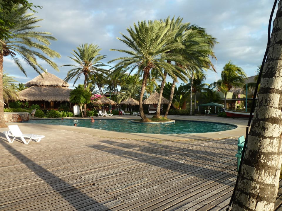 Kleiner Pool Hotel Coche Paradise Resort
