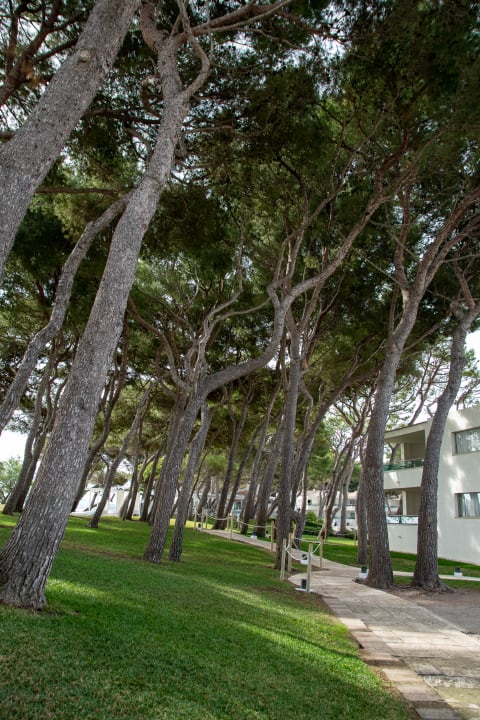 Gartenanlage Iberostar Waves Playa de Muro