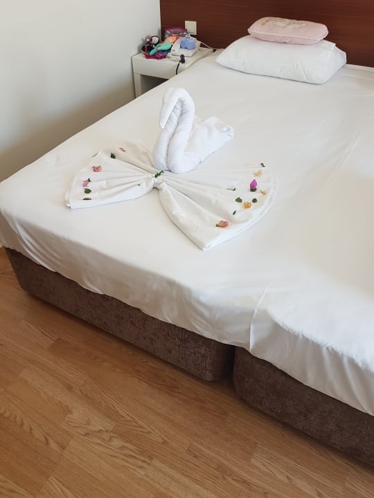 Zimmer Seaden Sea World Resort & Spa