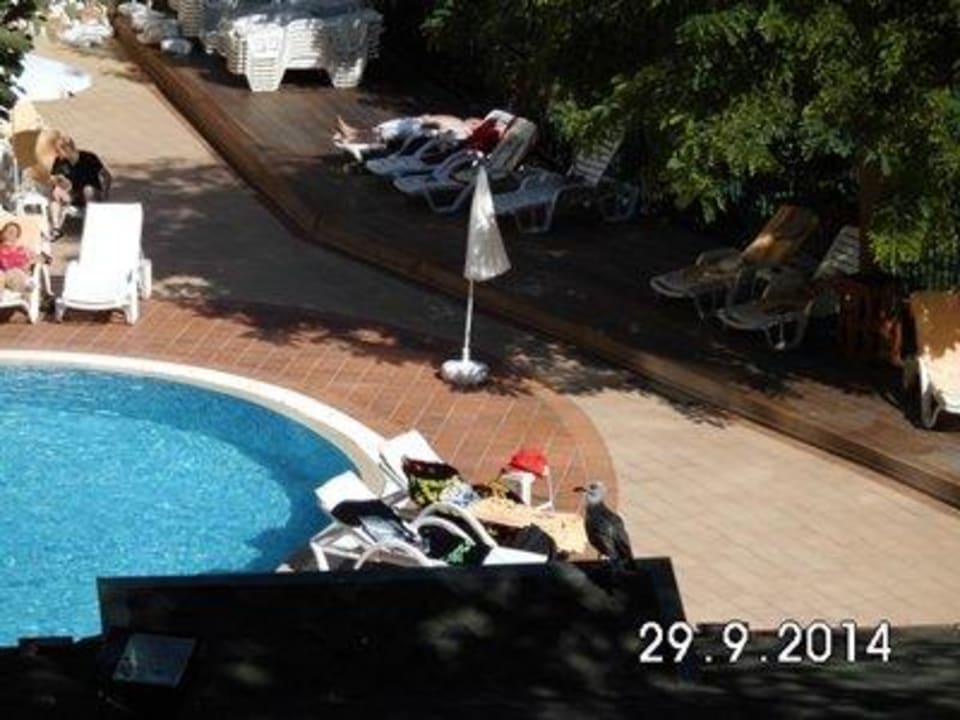 Kleiner Pool sehr sauber GRIFID Club Hotel Arabella