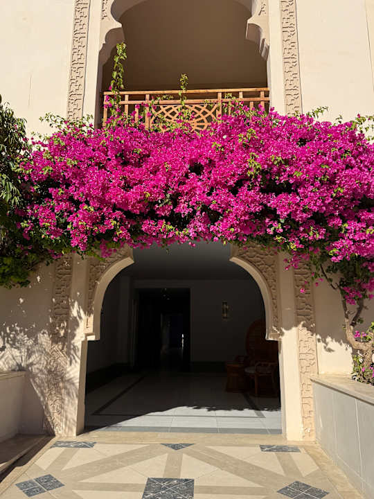 Gartenanlage The Grand Palace - Adults only