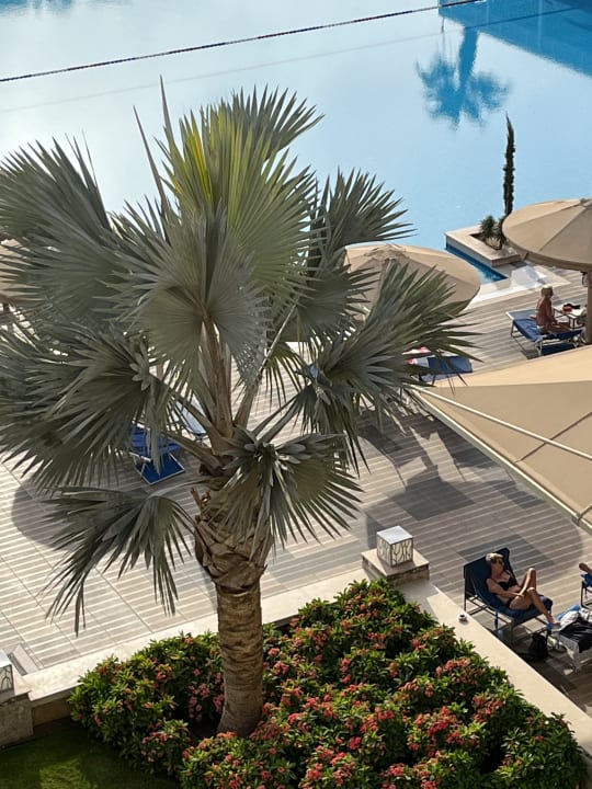 Pool Pickalbatros White Beach Resort - Hurghada